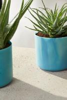 The ocean collection round 16cm atlantisch blauw elho - Elho - thumbnail
