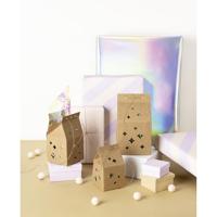 Giftbox Folia Star kraft set à 6 stuks - thumbnail