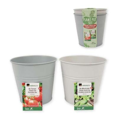 Kweekset Emmer Bio Tomaten En Sla 17Cm Metaal