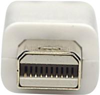 Manhattan 324748-CG DisplayPort-kabel Mini-displayport / DisplayPort Adapterkabel Mini DisplayPort-stekker, DisplayPort-stekker 2.00 m Wit - thumbnail