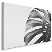 Schilderij - Palmblad zwart-wit, premium print - thumbnail