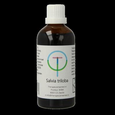 Therapeutenwinkel Salvia triloba 100 Milliliter Therapeutenwinkel Salvia triloba 100 Milliliter