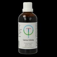 Therapeutenwinkel Salvia triloba 100 Milliliter - thumbnail