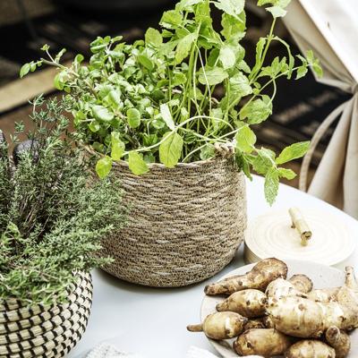 Society of Lifestyle 212470104 serveerschaal Society of Lifestyle 212470104 serveerschaal