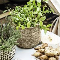 Society of Lifestyle 212470104 serveerschaal - thumbnail