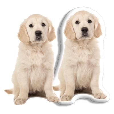 Honden Kussens - Pillow Buddies