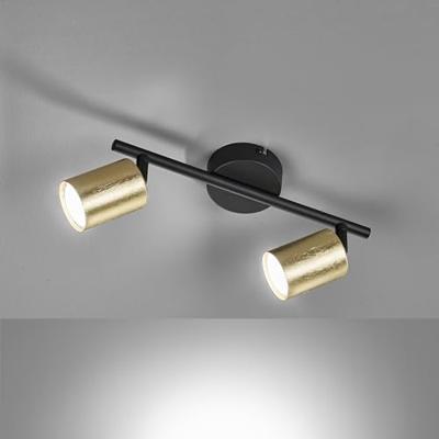 Fischer & Honsel PlafondlampVano 2-lichts - 21437