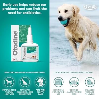 Otodine voor hond en kat 100 ml
