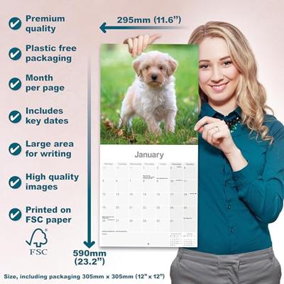 Tibetaanse Terrier Kalender 2026 Tibetaanse Terrier Kalender 2026