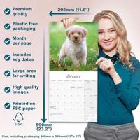 Tibetaanse Terrier Kalender 2026 - thumbnail