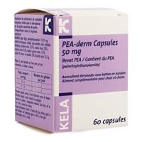 Pea Derm 50mg 60 Capsules - thumbnail