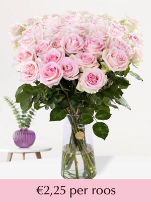 Zachtroze rozen - XL rozen - 10 t/m 99 rozen - Sweet Revival