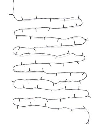 HEMA Lichtsnoer 50 LED lampjes voor binnen en buiten (wit)