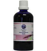 B. Nagel Pau d&apos;Arco Tinctuur