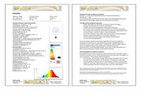 Segula 55685 LED-lamp Energielabel F (A - G) E27 Globe 6.5 W = 51 W Warmwit (Ø x l) 125 mm x 180 mm 1 stuk(s) - thumbnail