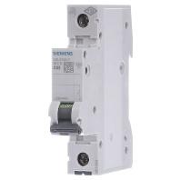 Siemens 5SL6163-7 Zekeringautomaat 1-polig 63 A 230 V, 400 V - thumbnail