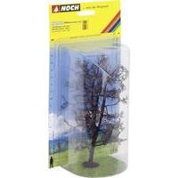 NOCH 22020 Kale boom Linde 185 mm 1 stuk(s) - thumbnail