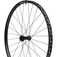 DT swiss e 1900 spline® 29" 30mm 6-bolt boost front wheel - thumbnail