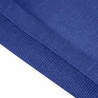 VidaXL Tenttapijt 250x550 cm blauw - thumbnail