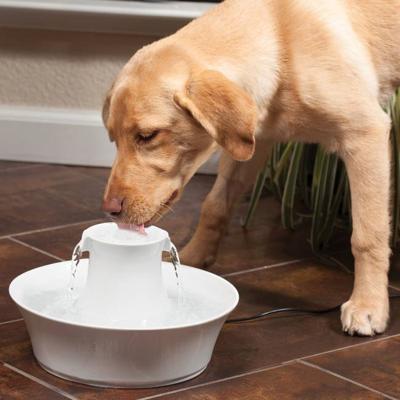 Avalon Petsafe drinkfontein met adapter wit