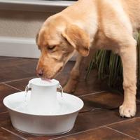 Avalon Petsafe drinkfontein met adapter wit - thumbnail