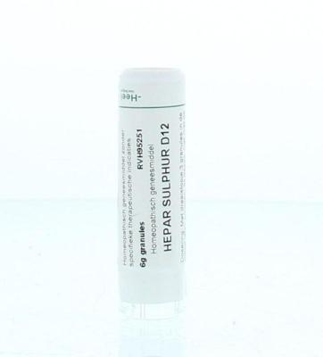 Homeoden Heel Hepar sulphur D12 6 Gram Homeoden Heel Hepar sulphur D12 6 Gram