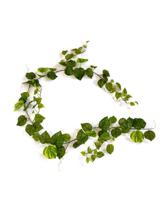 Pothos kunst guirlande 180cm - bont - thumbnail