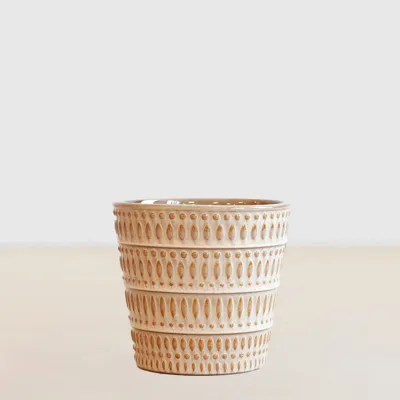 Montpellier - Geel - P12 Montpellier - Geel - P12