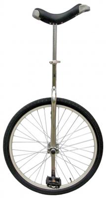 Fun Eenwieler 24 Inch 53 cm Unisex Zilver