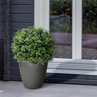Buxus bal deluxe kunstplant N 60cm - UV bestendig