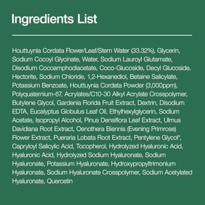 Anua Heartleaf Quercetinol Pore Deep Cleansing Foam 150 ml Make-up verwijderaar en reiniger