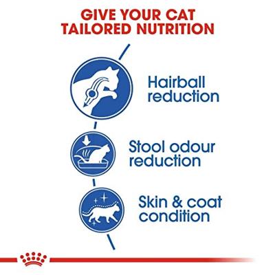 Royal Canin Indoor Long Hair kattenvoer 10 kg