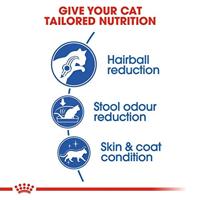 Royal Canin Indoor Long Hair kattenvoer 10 kg - thumbnail