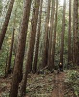 POC VPD System Torso - Upper Protective Jersey - thumbnail