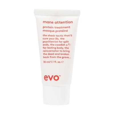 Evo Mane Attention Protein Treatment
