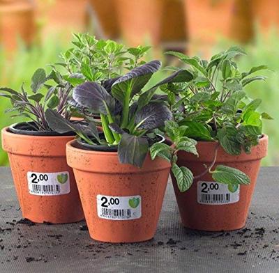 Avery L4775-20 ultra-sterke etiketten ft 210 x 297 mm (b x h), 20 etiketten, wit Avery L4775-20 ultra-sterke etiketten ft 210 x 297 mm (b x h), 20 etiketten, wit