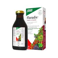 Floradix IJzer - thumbnail
