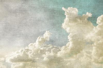 Schilderij - Eenzame Boom in zwart wit, Premium Print, Wanddecoratie, Stijlvol aan de muur