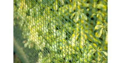 Nature tuinscherm vierkant gaas 5x5 mm 1x3 m groen