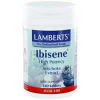 Artisjok - thumbnail