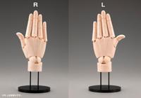Takahiro Kagami PVC Artist Support Item Hand 1/1 Model/L Pale Orange 21 cm - thumbnail