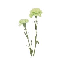 Anjer Kunsttak 61cm Groen - thumbnail