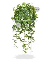 Monstera kunst hangplant 80cm - bont - thumbnail