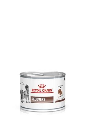 Royal Canin Recovery 195gr