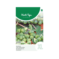 Zaden Spruitkool Roodnerf Hortitops - Hortitops - thumbnail