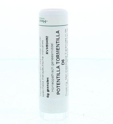 Homeoden Heel Potentilla tormentilla D6 6 Gram Homeoden Heel Potentilla tormentilla D6 6 Gram