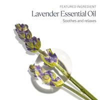 L&apos;Occitane Lavender Hand Cream Handverzorging 75 ml - thumbnail