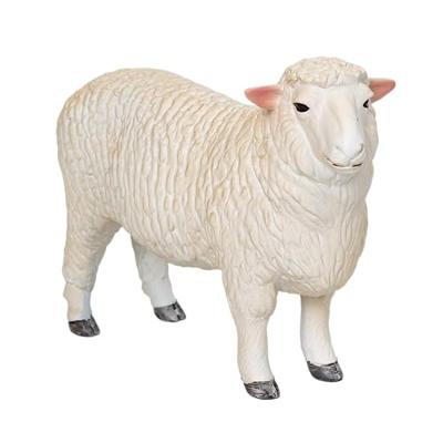 Mojo farmland romney schaap ram - 381063