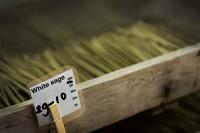 Jiri & Friends Wierook Melange - thumbnail