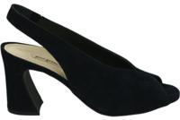 Paul Green 6038 - alle - thumbnail